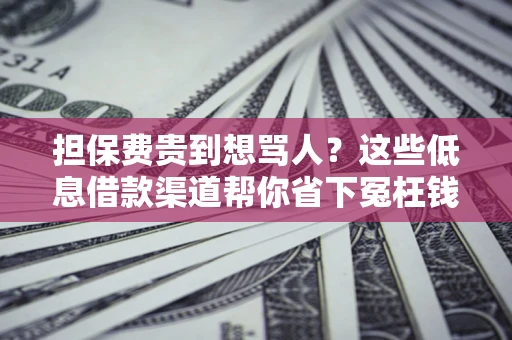 济南担保费贵到想骂人？这些低息借款渠道帮你省下冤枉钱