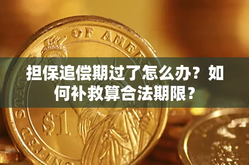 济南担保追偿期过了怎么办？如何补救算合法期限？