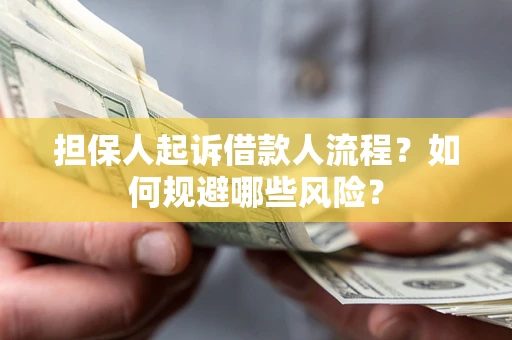 济南担保人起诉借款人流程？如何规避哪些风险？