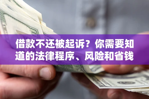 济南借款不还被起诉？你需要知道的法律程序、风险和省钱技巧